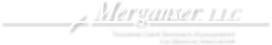 Merganser LLC